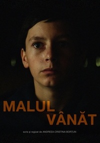 Poster Malul vânăt - 2D