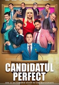 Poster Candidatul perfect - 2D