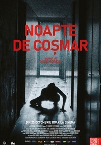 Poster Noapte de coșmar - 2D