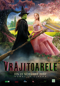 Poster Vrajitoarele - 3D