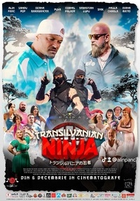 Poster Transilvanian Ninja - 2D