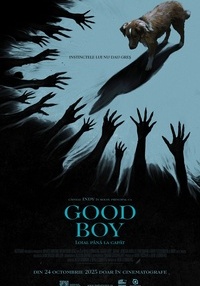 Poster Good Boy: Loial până la capăt - 2D