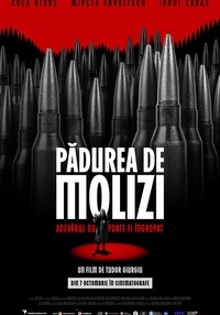 Poster Pădurea de molizi - 2D