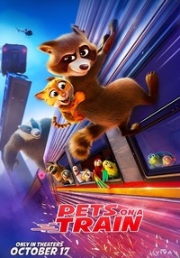 Poster Falcon Express - dublat - 2D